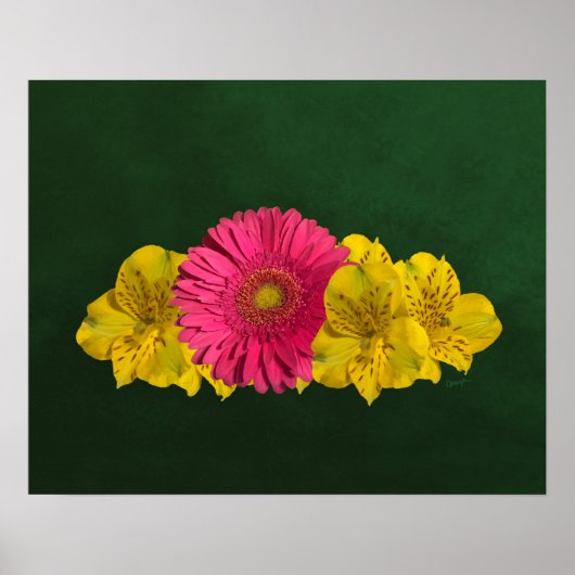 Hellrosa und gelbe Blumen drucken Poster (Vorne)