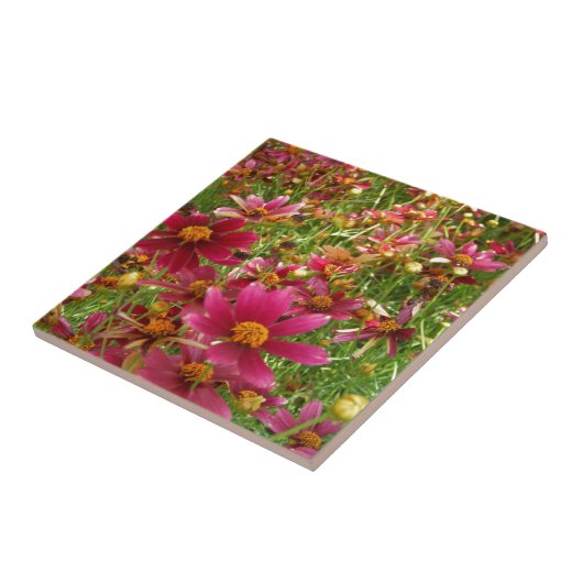 Hellrosa und gelbe Daisy-Blume Fliese (Seite)