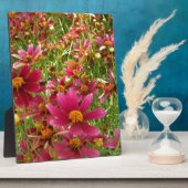 Hellrosa und gelbe Daisy-Blume Fotoplatte (Seite)