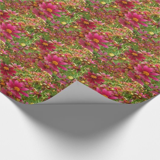 Hellrosa und gelbe Daisy-Blume Geschenkpapier (Ecke)
