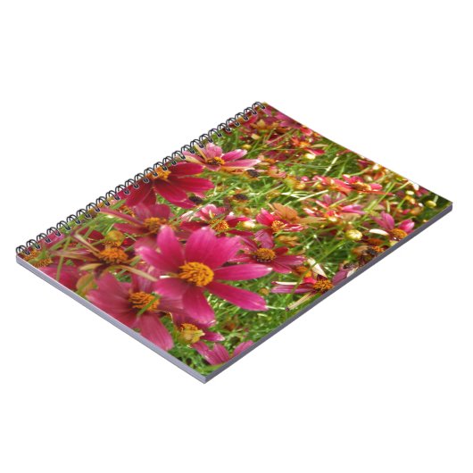 Hellrosa und gelbe Daisy-Blume Notizblock (Linke Seite)