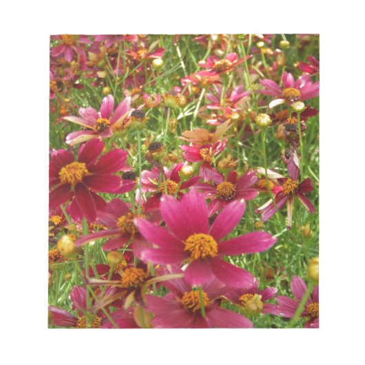 Hellrosa und gelbe Daisy-Blume Notizblock (Vorderseite)