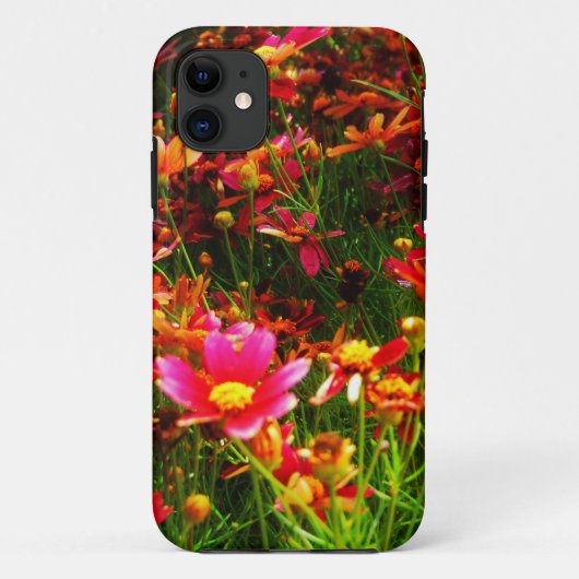 Hellrosa und gelbe Daisy Wilde Blume Case-Mate iPhone Hülle (Rückseite)