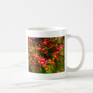 Hellrosa und gelbe Daisy Wilde Blume Kaffeetasse