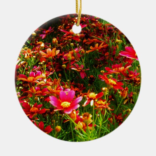 Hellrosa und gelbe Daisy Wilde Blume Keramik Ornament (Vorne)