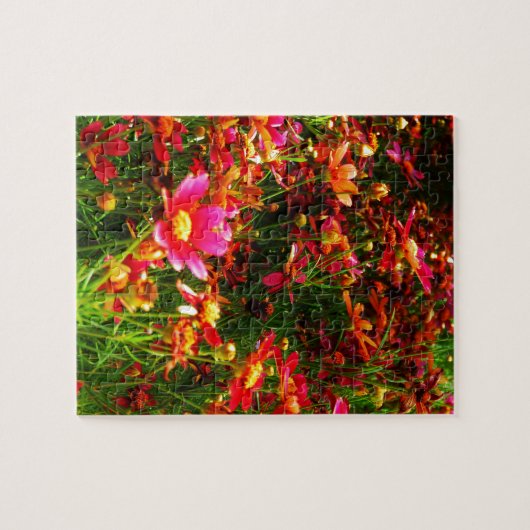 Hellrosa und gelbe Daisy Wilde Blume Puzzle (Horizontal)