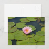 Hellrosa und gelbe Postkarte (Vorne/Hinten)