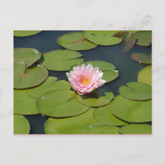 Hellrosa und gelbe Postkarte