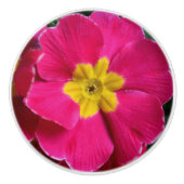 Hellrosa und gelbe Primrose-Blume Keramikknauf (Vorderseite)