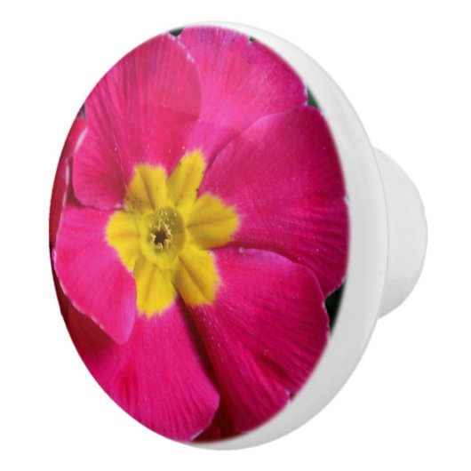 Hellrosa und gelbe Primrose-Blume Keramikknauf (Rechts)