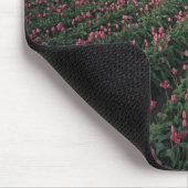 Hellrosa und rote Tulpen leuchten unter dunkler Fa Mousepad (Ecke)