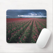 Hellrosa und rote Tulpen leuchten unter dunkler Fa Mousepad (Mit Mouse)