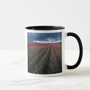 Hellrosa und rote Tulpen leuchten unter dunkler Fa Tasse
