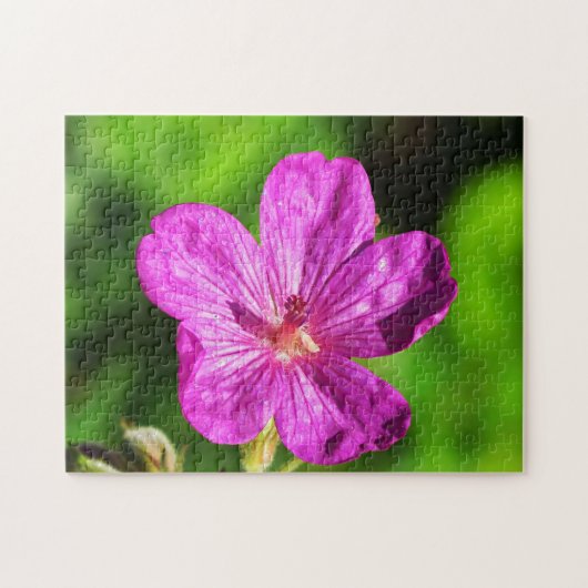 Hellrosa Wildblume blüht grünes Gras Puzzle (Horizontal)