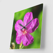 Hellrosa Wildblume blüht Grüngras Quadratische Wanduhr (Winkel)