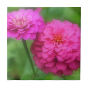 Hellrosa Zinnia-Blume Fliese