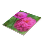 Hellrosa Zinnia-Blume Fliese (Seite)
