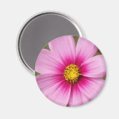 hellrosafarbener Disan Magnet (Vorderseite/Rückseite)
