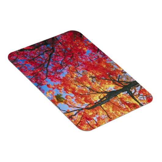 Hellrot, orange und gelb Verlass Herbst Magnet (Rechte Seite)