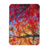 Hellrot, orange und gelb Verlass Herbst Magnet (Vertikal)
