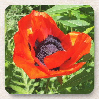Hellrote Blume auf Grün Getränkeuntersetzer