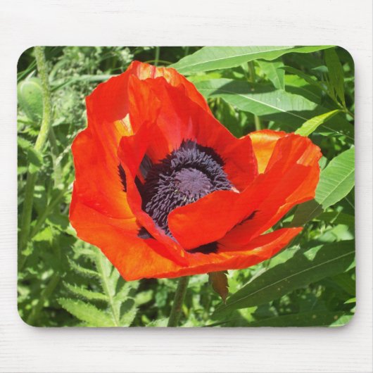 Hellrote Blume auf Grün Mousepad (Vorne)