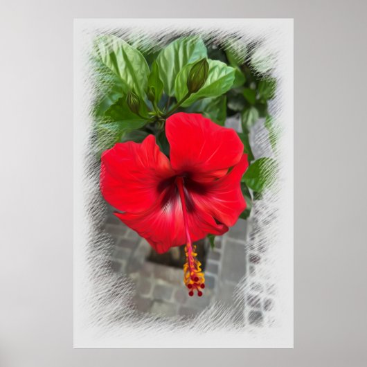 Hellrote Blume Poster (Vorne)