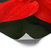 Hellrote Blume Poster (Ecke)