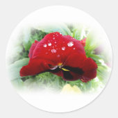 Hellrote Panik Runder Aufkleber (Vorderseite)