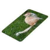 Hellrote Schönheit Magnet (Linke Seite)