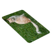 Hellrote Schönheit Magnet (Rechte Seite)