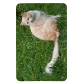 Hellrote Schönheit Magnet (Vertikal)