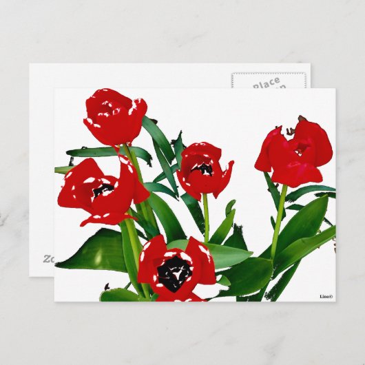 Hellrote Tulips Postkarte (Vorne/Hinten)