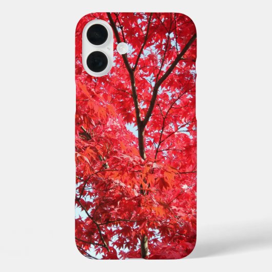 Hellroter Japanischer Ahornbaum Case-Mate iPhone Hülle (Rückseite)