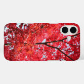Hellroter Japanischer Ahornbaum Case-Mate iPhone Hülle (Rückseite (Horizontal))