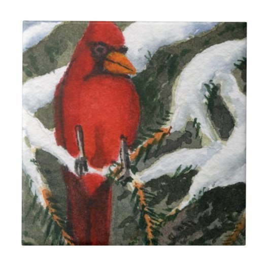 Hellroter Kardinal in einer schneebedeckten Kiefer Fliese (Vorderseite)