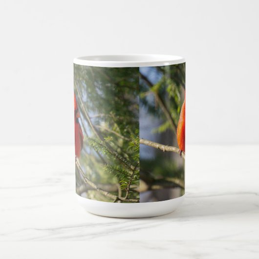 Hellroter Kardinal Kaffeetasse (Mittel)