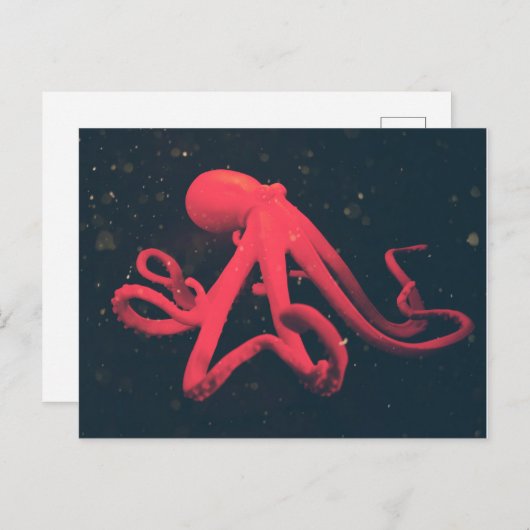 Hellroter Kraken Postkarte (Vorne/Hinten)