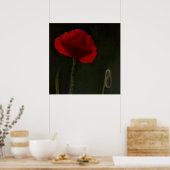 Hellroter Mohn auf dunklem Hintergrund. Poster (Küche)