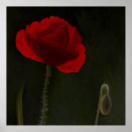 Hellroter Mohn auf dunklem Hintergrund. Poster