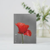 Hellroter Mohn auf grauem Untergrund Postkarte (Stehend Vorderseite)