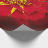 hellrotes Geländer Geschenkpapier (Ecke)