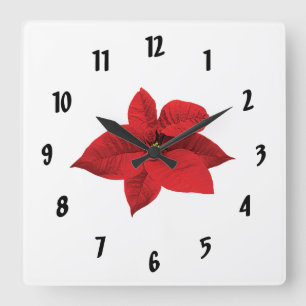 Hellrotes Poinsettium Quadratische Wanduhr