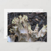 Hells Canyon Idaho Flora Fungi Lichen Mosses Postkarte (Vorne/Hinten)