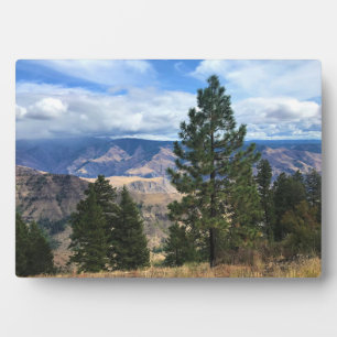 Hells Canyon Landschaftlich Byway, OR Fotoplatte