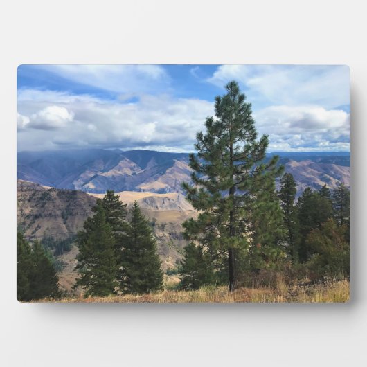 Hells Canyon Landschaftlich Byway, OR Fotoplatte (Vorderseite)