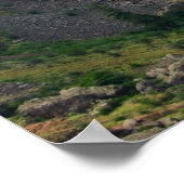 Hell's Canyon P5487 Print Poster (Ecke)