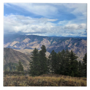 Hells Canyon Scenic Byway, OR Fliese