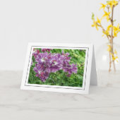 Hellviolette Blumen Grußkarte Karte (Gelbe Blume)