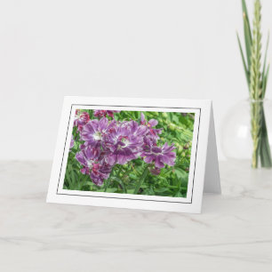 Hellviolette Blumen Grußkarte Karte